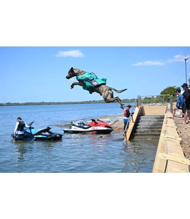 Jetpilot Venture Dog Life Vest