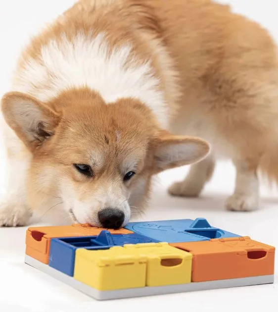 Pawzler Innovative Modular Dog Puzzles (Rainbow Set With Base)